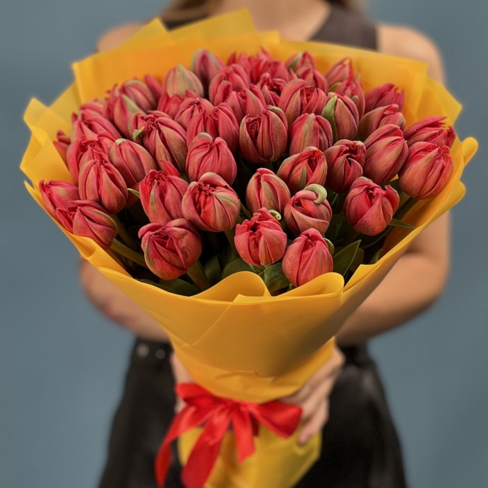 51 красный пионовидный тюльпан  Ред Принц